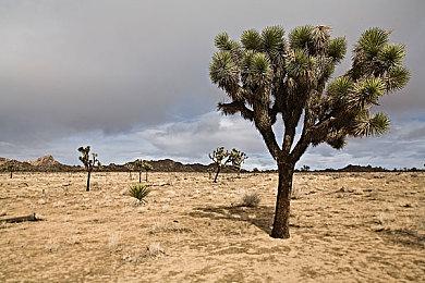 3D平台休闲冒险游戏《亥灵胎》现已上线Steam 支持中文