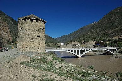 “喜加一”周报（8.22-8.28）：种花养蛙打僵尸